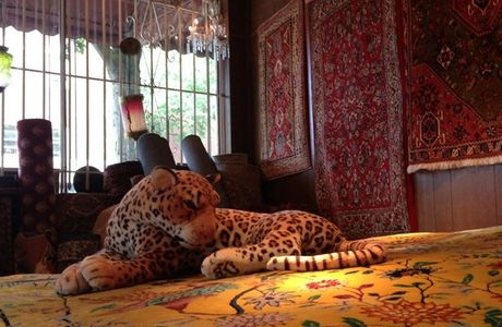 Karavan Carpets