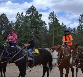 Grand Canyon Apache Stables