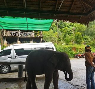 Seaview Elephant Camp