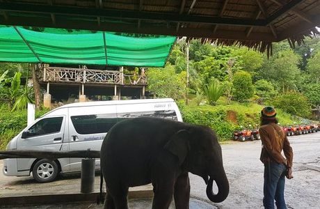 Seaview Elephant Camp