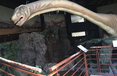 National Geological Museum