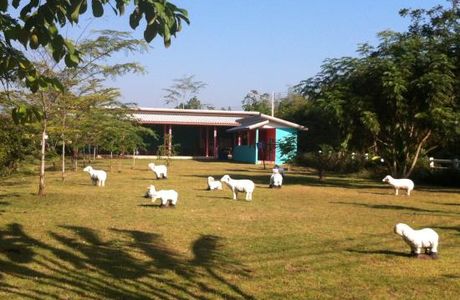 The Lion Park Resort