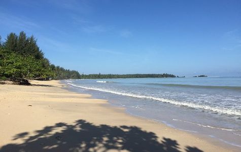 Coconut Beach 1