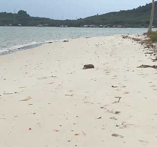 Phuket Wisdom Travel