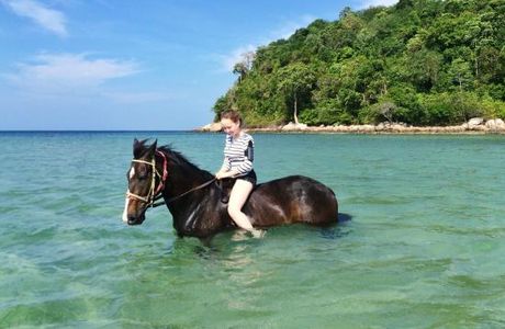 Phuket International Horse Club