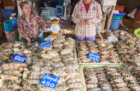 Fish Market Angsila