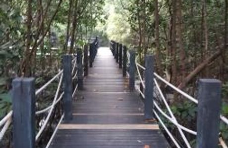 Center for Ecotourism