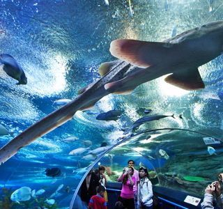 Underwater World Pattaya