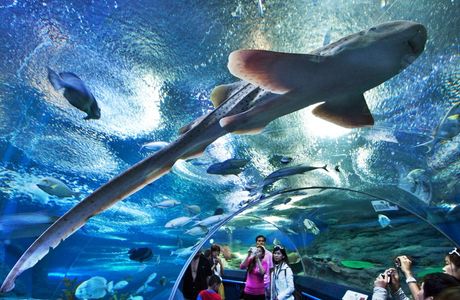 Underwater World Pattaya