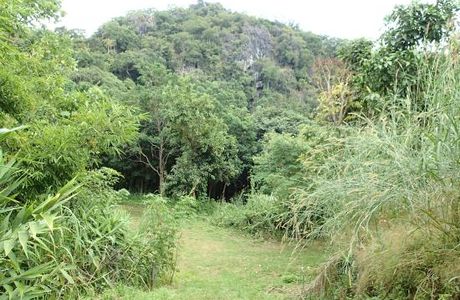 Tham Pha Tup Forest Park
