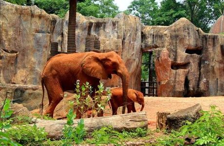 Nakhon Ratchasima Zoo