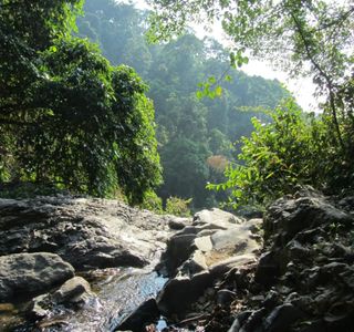 Khao Phanom Bencha National Park