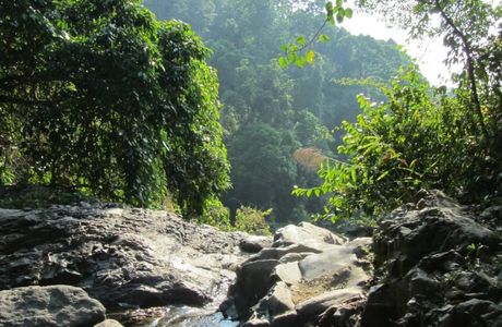 Khao Phanom Bencha National Park