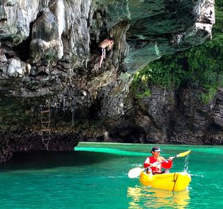 Basecamp Tonsai