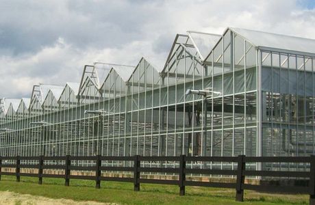Actiondome