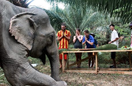 Khao Sok Elephant Sanctuary