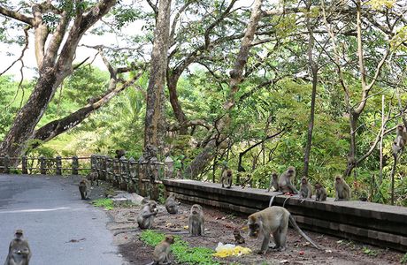 Khao To Phaya Wang Park