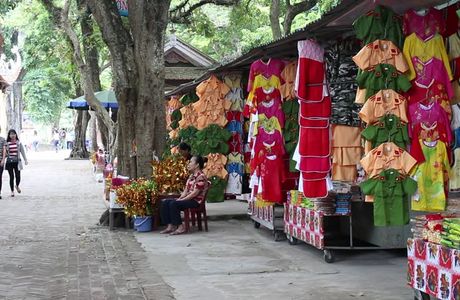 Taste of Vietnam