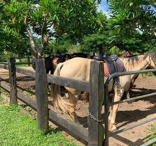 Club Hippique Adventure Park