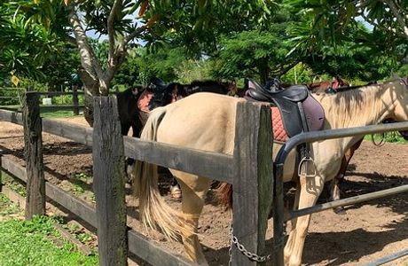 Club Hippique Adventure Park