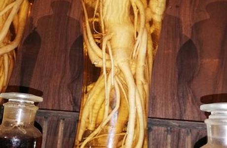 Fito Museum - Museums of Traditional Vietnamese Medicine & Pharmacy