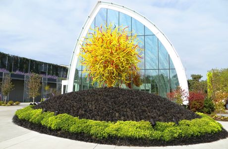 Chihuly Garden and Glass