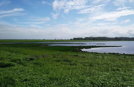 Notsuke Peninsula Natural Flower Garden