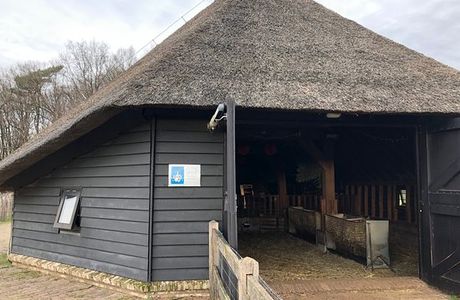 De schaapskooi