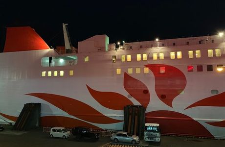 Ferry Sunflower