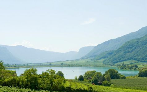 Kalterer See 1