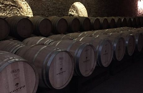 Coppo Wine Cellar