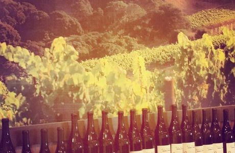 Ken Brown Wines