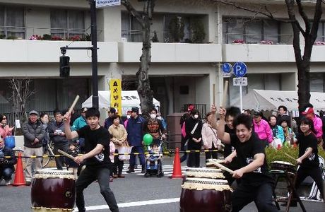 Bunkyo Cherry Blossom Matsuri