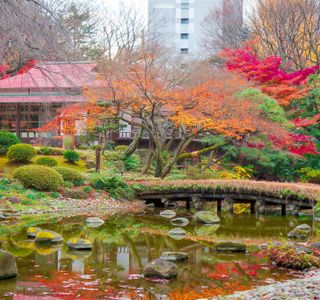 Koishikawa Korakuen Garden