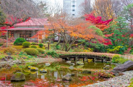 Koishikawa Korakuen Garden