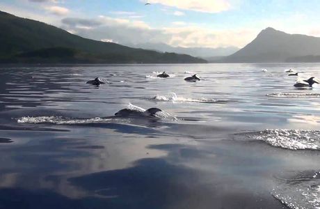 Johnstone Strait