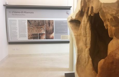 Museo dell'Uomo di Altamura - Palazzo Baldassarre