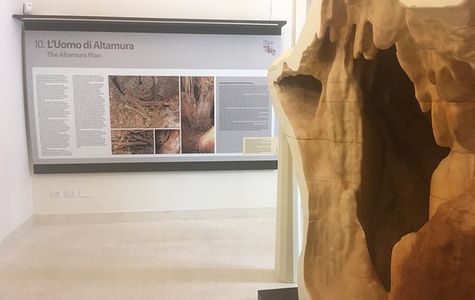 Museo dell'Uomo di Altamura - Palazzo Baldassarre 1