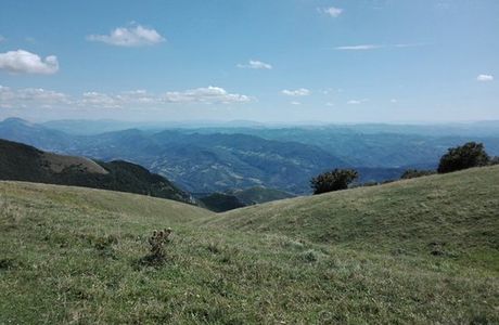 Monte Nerone