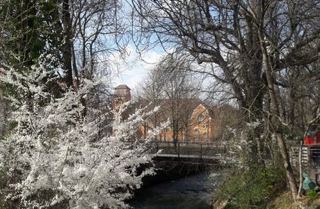 Stadtgarten Aalen