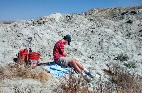 Ernst Quarries