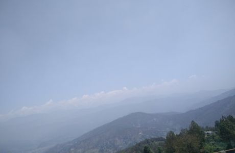 Kasauni Tea Estate