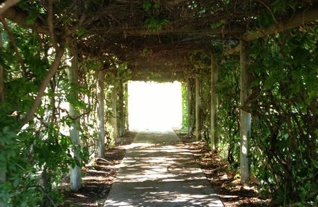 Barooga Botanical Gardens