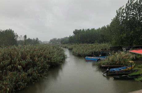 Anzali Lagoon