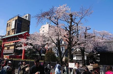 Komachi Hair 03 Asakusa Nakamise St