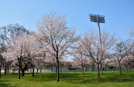 Hanasaki Sports Park