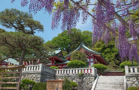 Tokushoji Temple