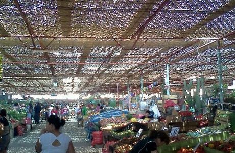 Terminal Agropecuario Arica