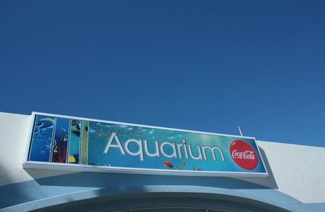 East London Aquarium
