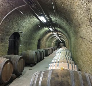 St. Andrea Pinceszet Winery